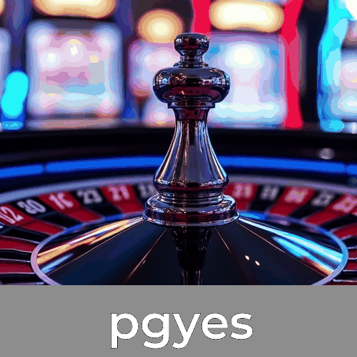 Experimente a praticidade do app pgyes com funções completas